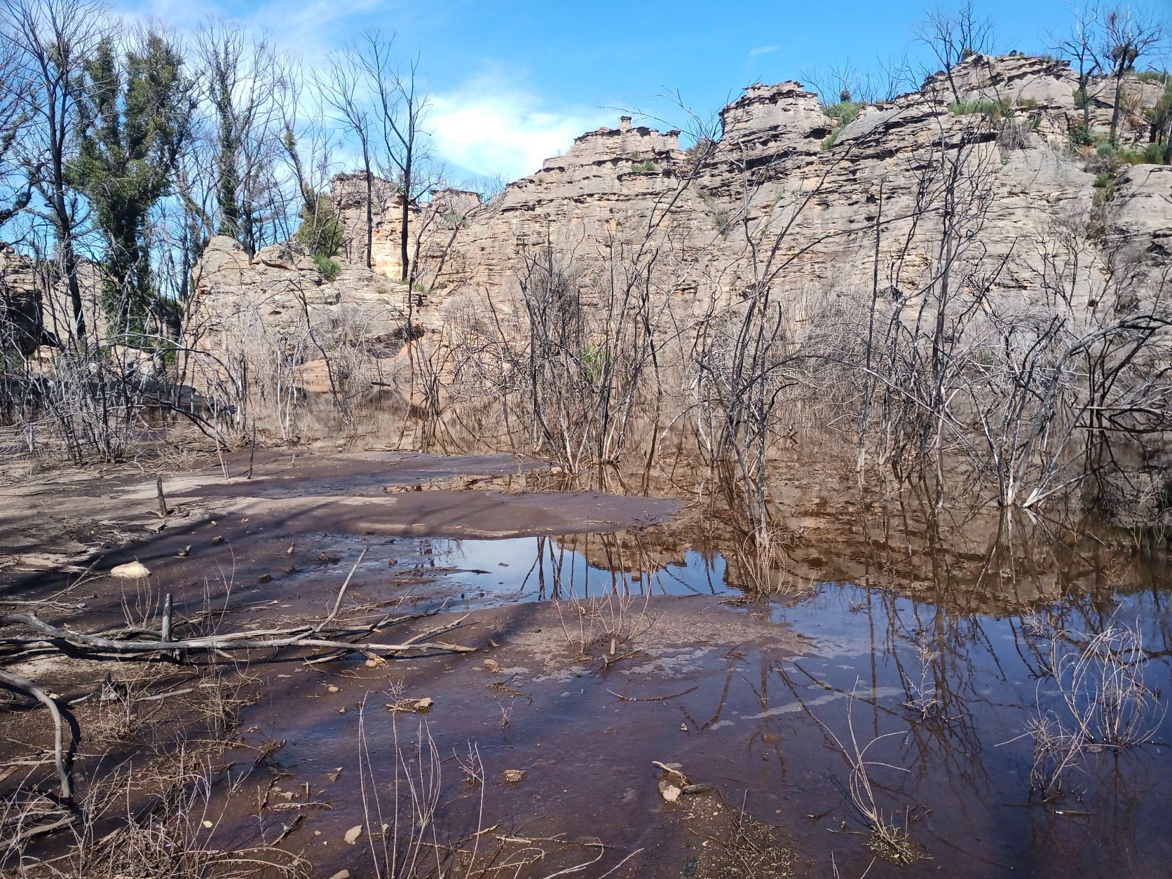 Water in The Pondage