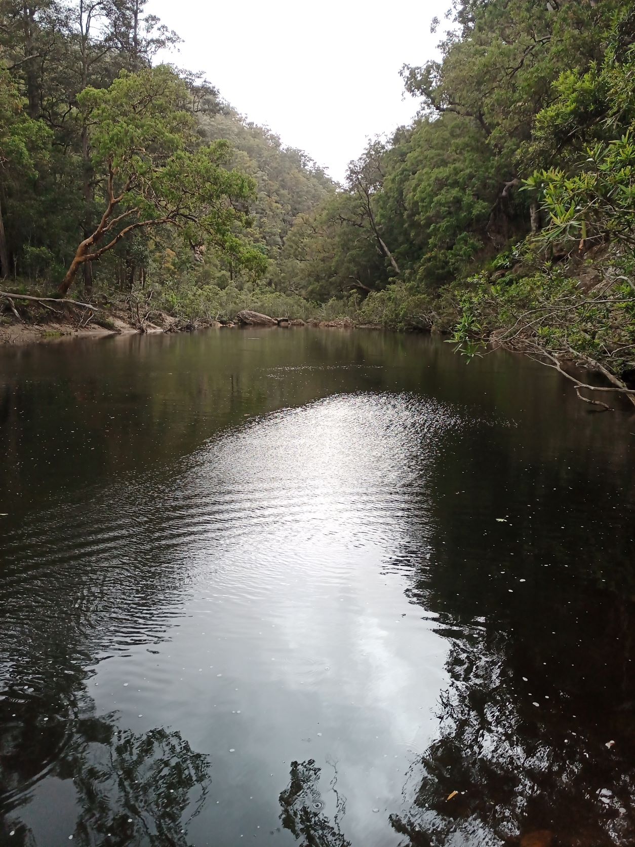 Bedford Creek junction with Erskine Creek