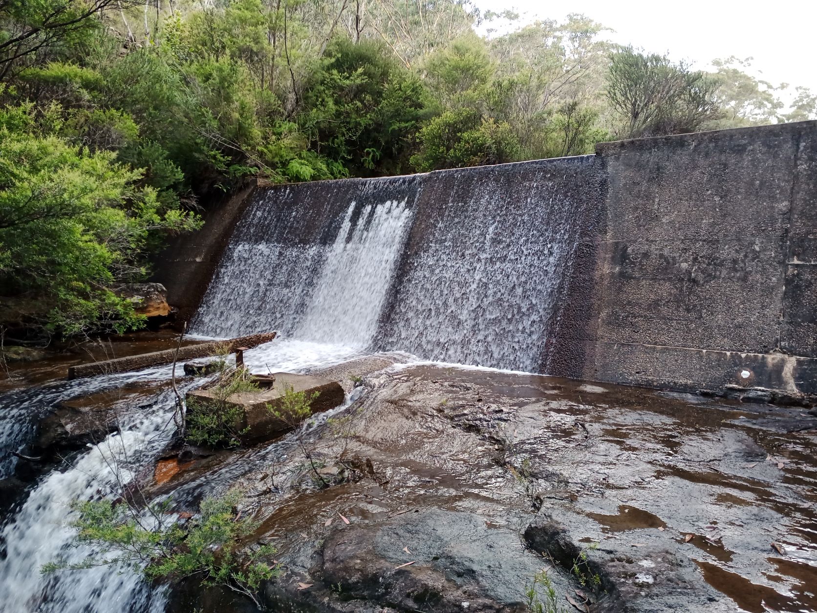 Upper Wentworth Creek