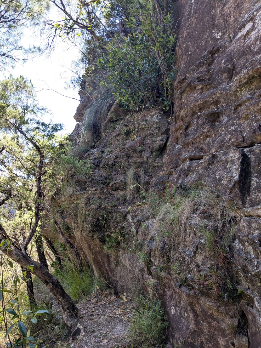 Climb to get to Cave 2